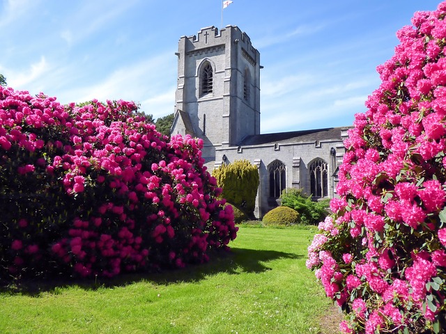 Free Church Flowers photo and picture