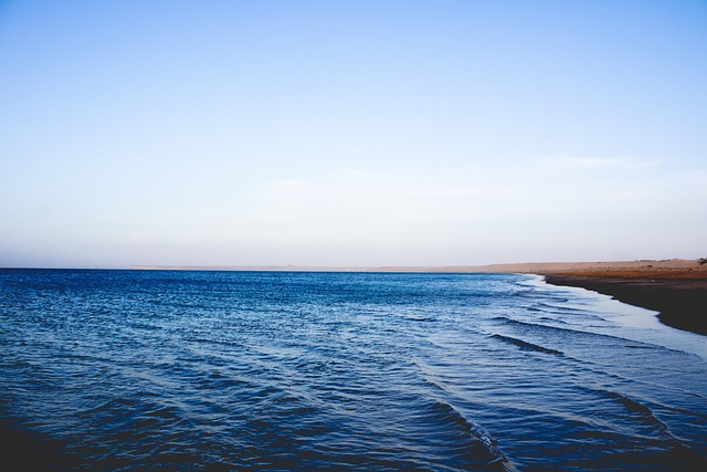 Free Beach Nature photo and picture
