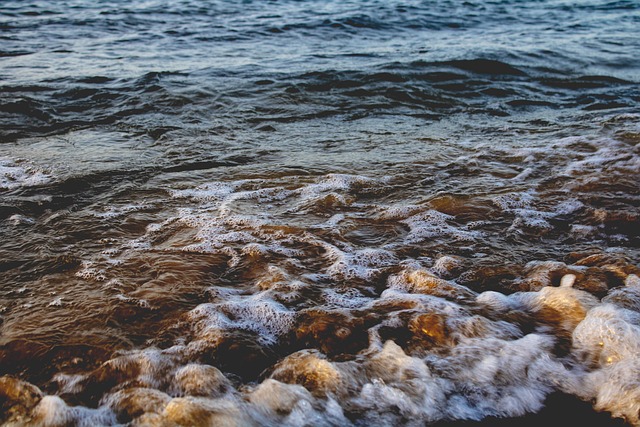 Free Beach Sea photo and picture