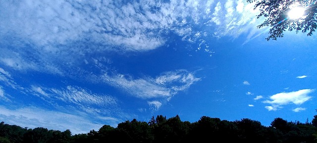 Free Sky Autumn photo and picture