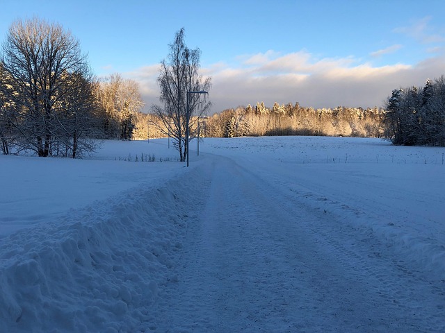 Free Cycle Path Snow photo and picture