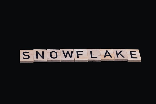 Free Snowflake Derogatory photo and picture
