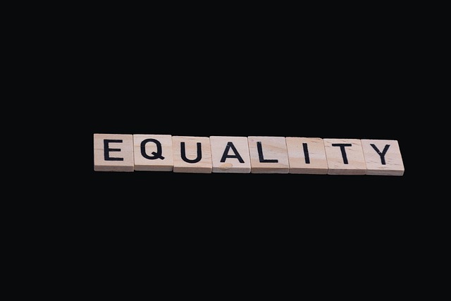 Free Society Equality photo and picture