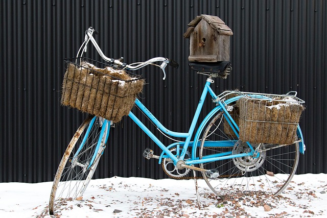 Fahrrad, Vogelhaus, Korb