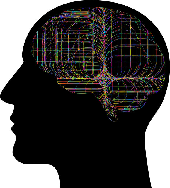 Download free HD stock image of Man Human Free man human brain vector
