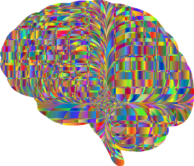 Free brain mind nature vector