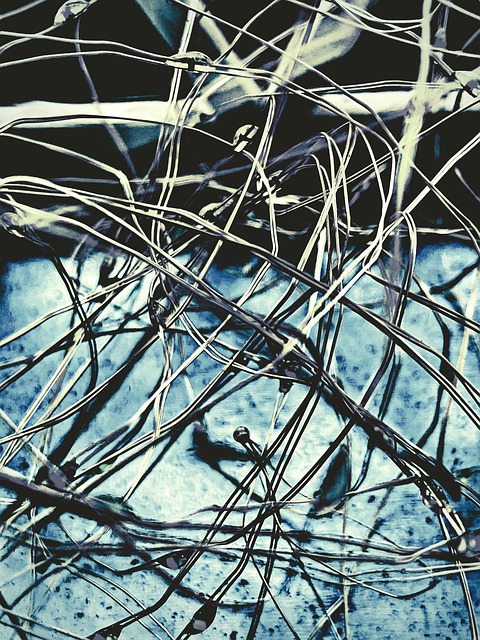 Free fairy lights macro closeup illustration