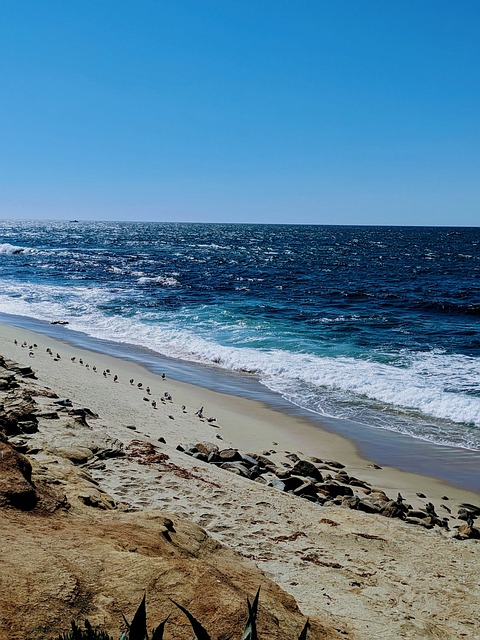 Free Ocean Beach photo and picture