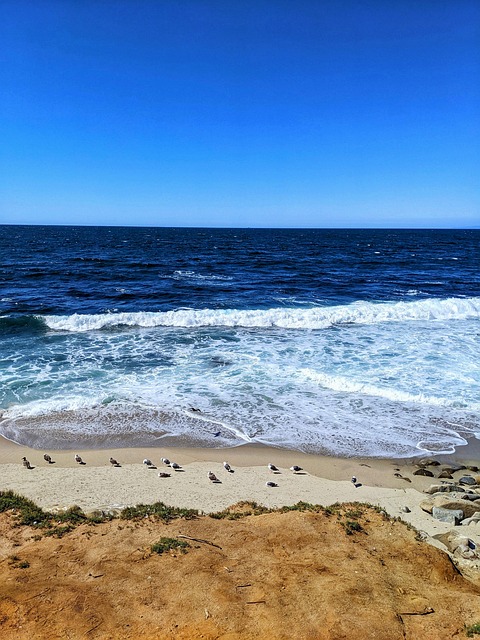 Free Ocean Beach photo and picture