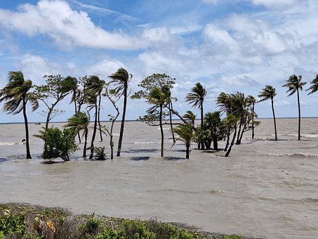 Río, Naturaleza, Cielo, Móvil, El Verano