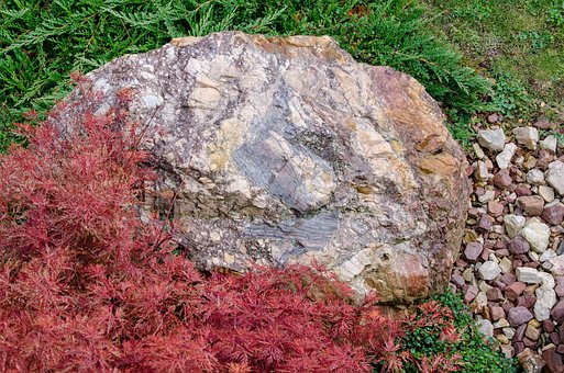 Roca, Naturaleza, Verde, Arbusto, Hierba