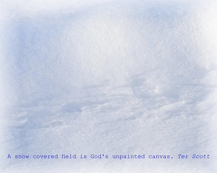 Free Snow Snowy Field photo and picture