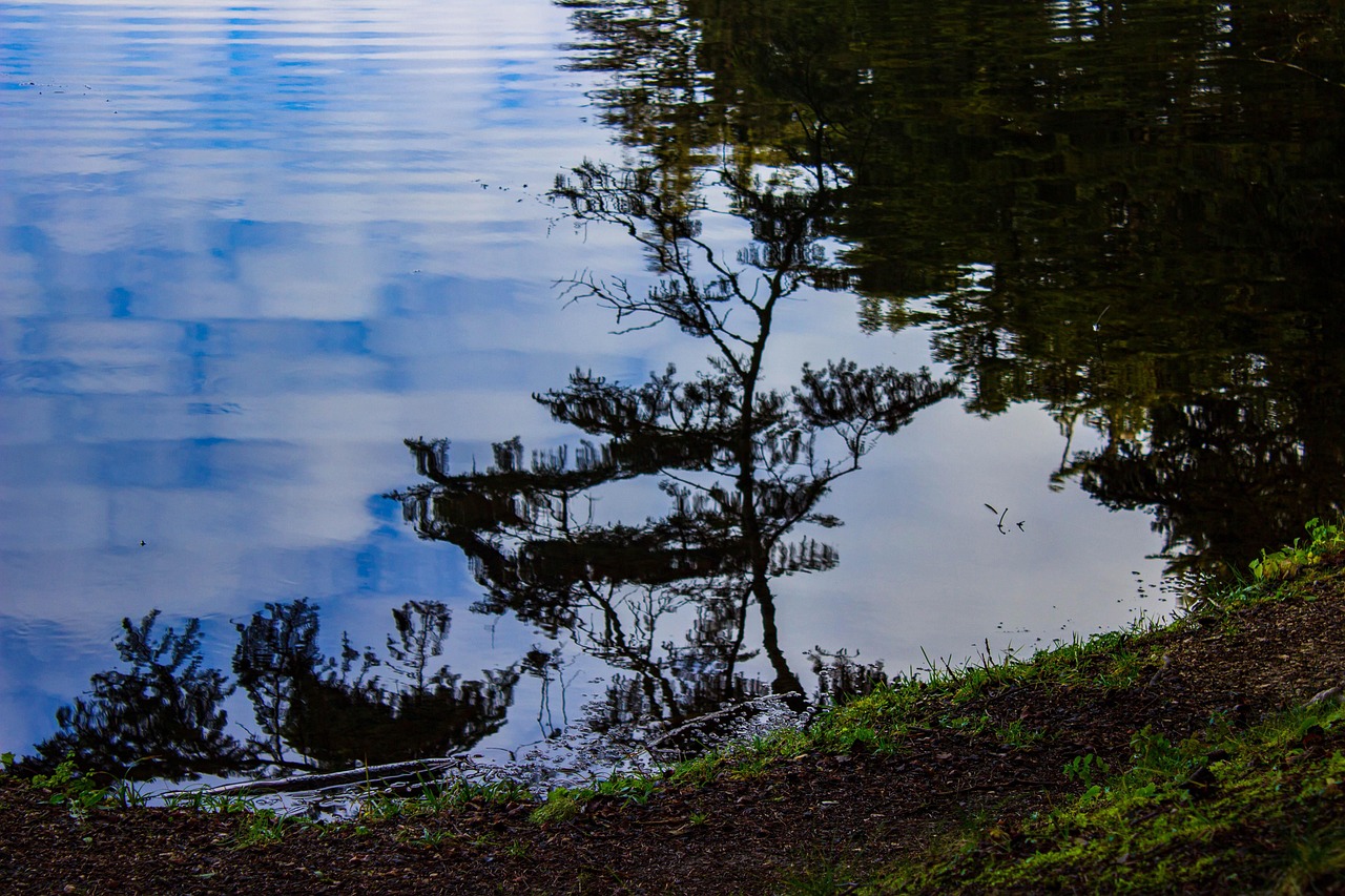 Reflection Goal View - Free photo on Pixabay - Pixabay