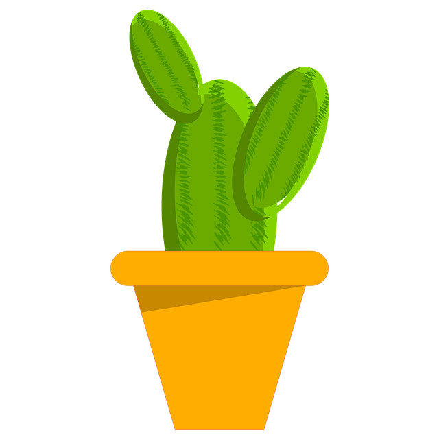 Free cactus succulent plant illustration