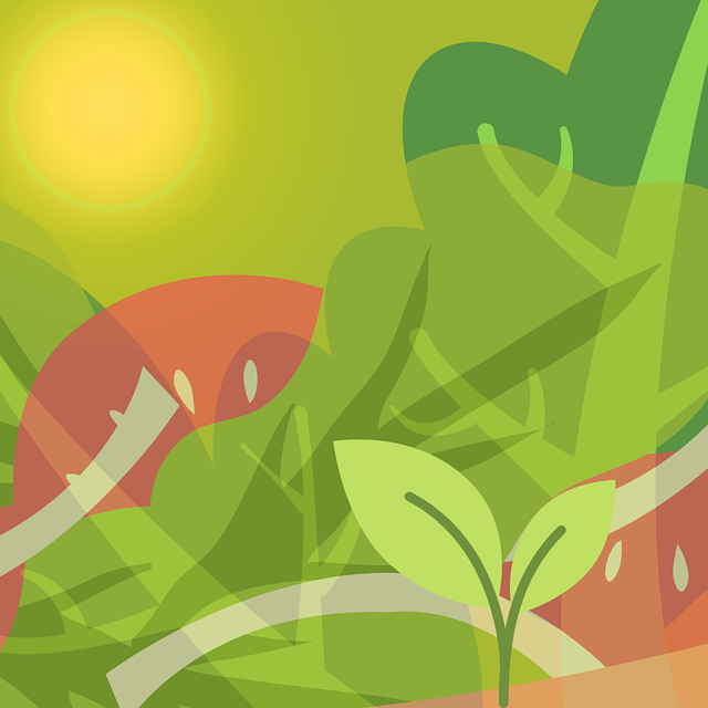 Free vegan veganism vegetarian illustration