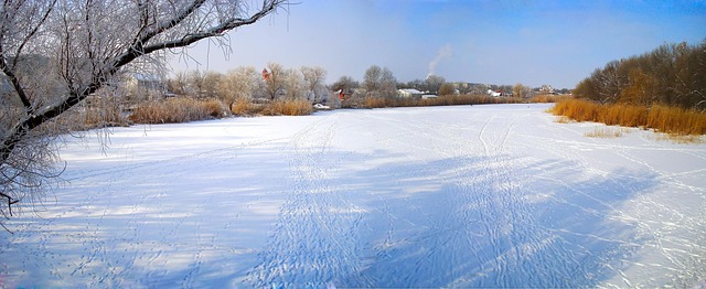 Vinter, Sne, Jul, Ukraine, Landskab