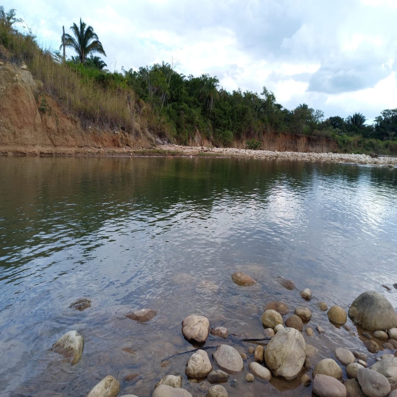 Rio Natureza Panorama - Foto gratuita no Pixabay - Pixabay