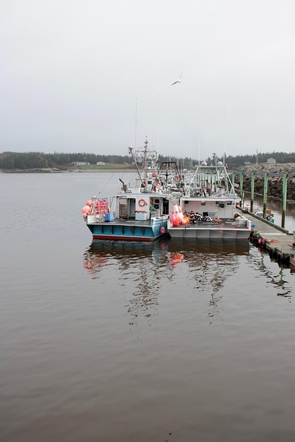 Free Fisherman Boat photo and picture