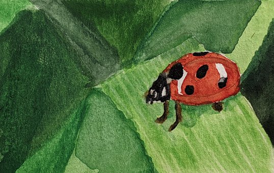 Free Watercolor Ladybug illustration and picture