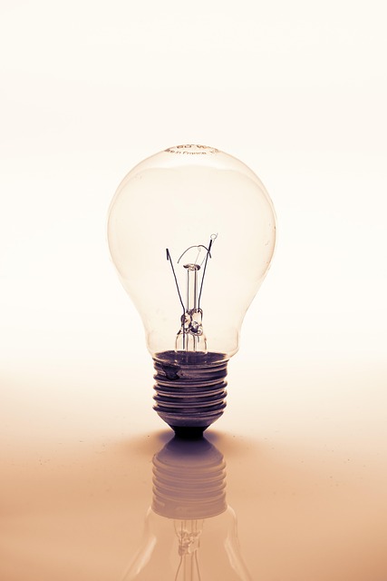 Free Lightbulb Bulbs photo and picture