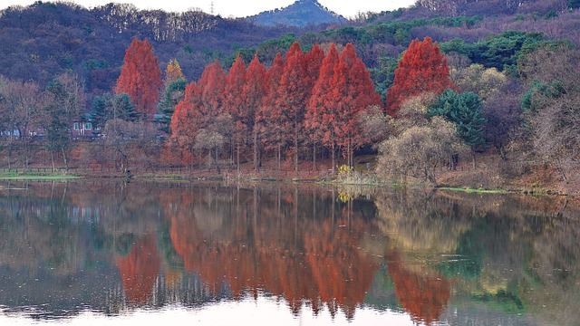 Free Lake Landscape photo and picture