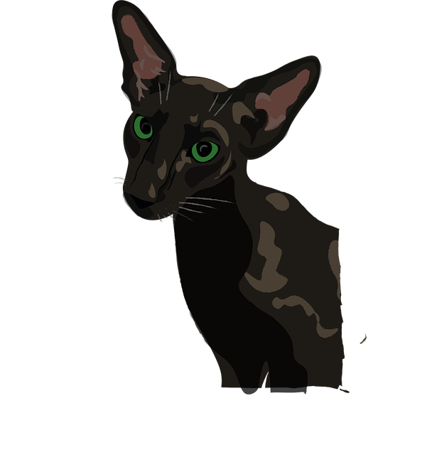 Free oriental cat green eyes vector