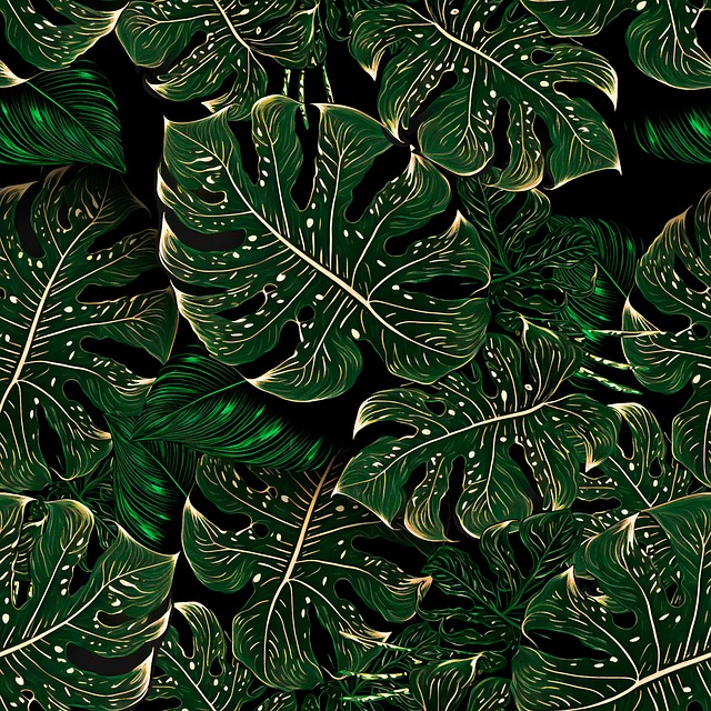 Free monstera nature plant illustration