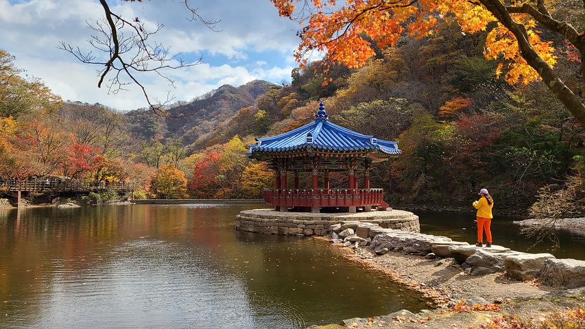 6 多张免费的“가을 산”和“가을풍경”照片 - Pixabay