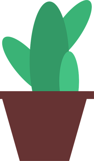 Free cactus nature plant vector