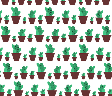 Cactus, Tapet Frumos, Cactuși, Model