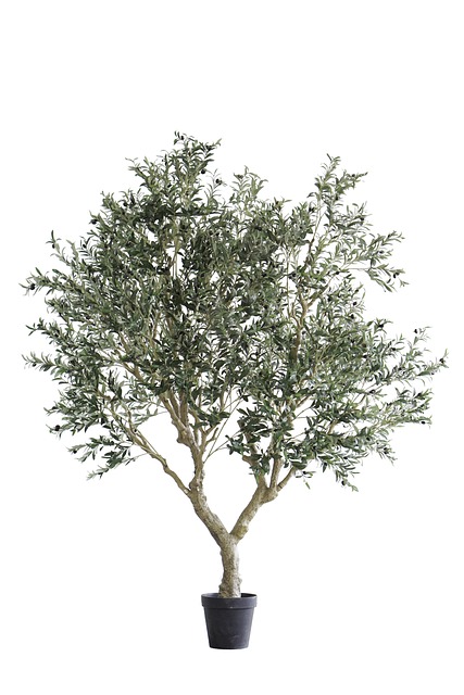 Free Faux Olive Tree Artificial Olive Tree photo and picture