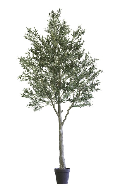 Free Faux Olive Tree Artificial Olive Tree photo and picture