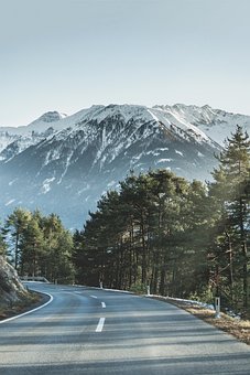 Free Kozel Ruže photo and picture