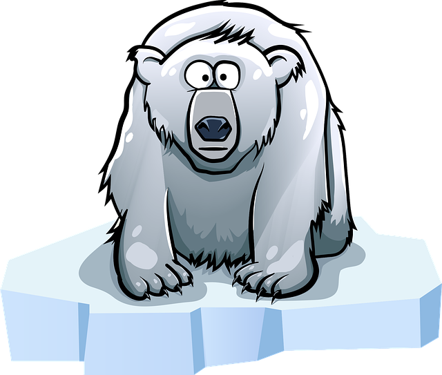 Free Bear Nature vector and picture