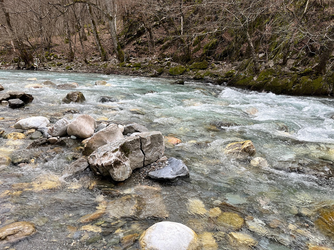 Nature Paysage Fleuve - Photo gratuite sur Pixabay - Pixabay