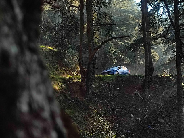 Free Car Blue photo and picture
