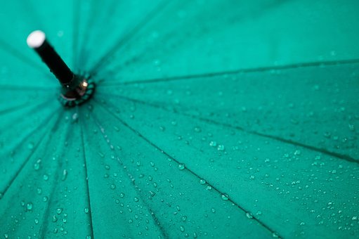 Free Umbrella Rain photo and picture