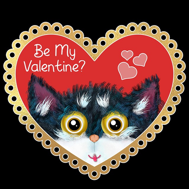 Free valentine cat valentines day illustration