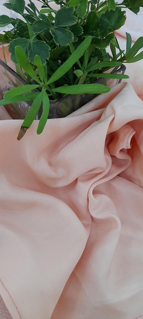 Free Table Napkin photo and picture