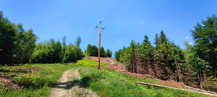 Free Mountains The Path photo and picture