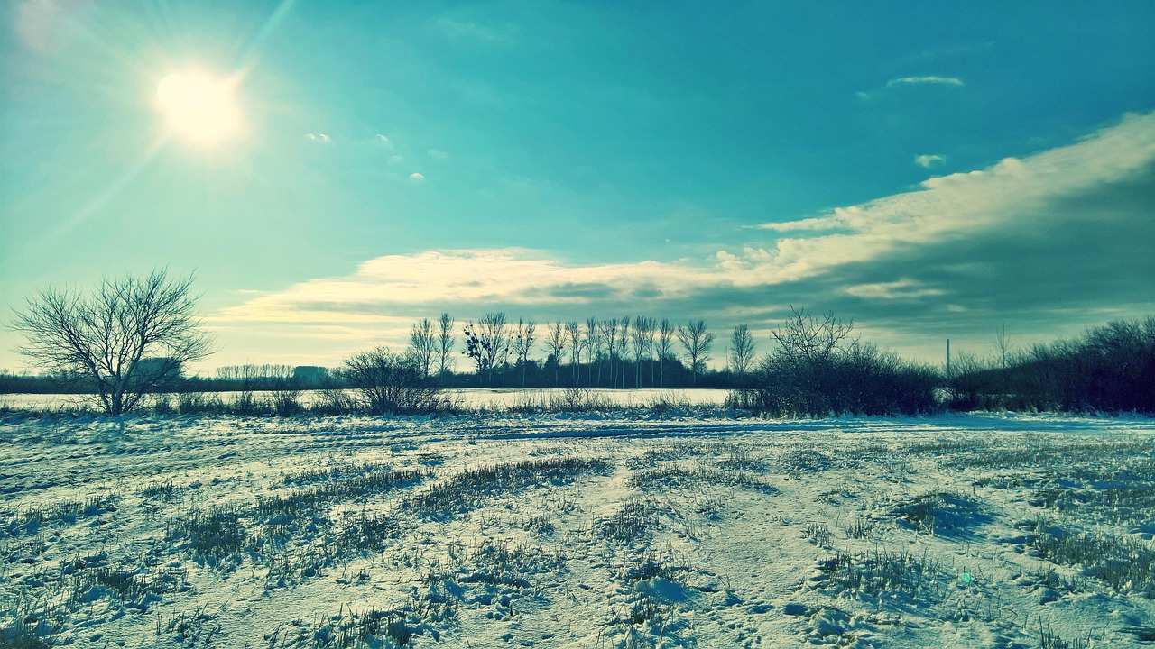 冬天 雪 自然 - Pixabay上的免费照片 - Pixabay