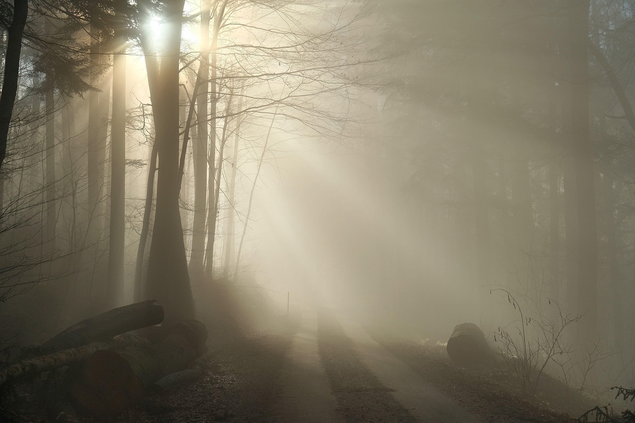 Nature - free online jigsaw puzzle photo