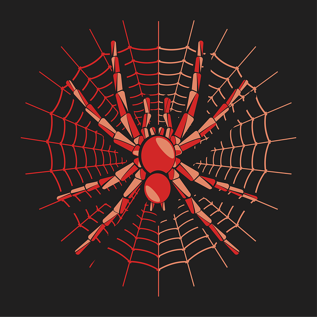 Free spider nature t-shirt illustration