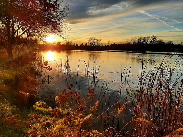 Natur, Sonne, Teich, Land, Wasser