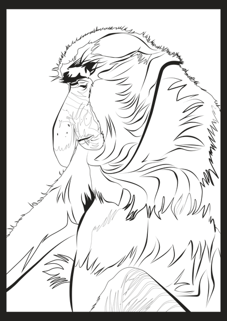 Free animal monkey proboscis illustration
