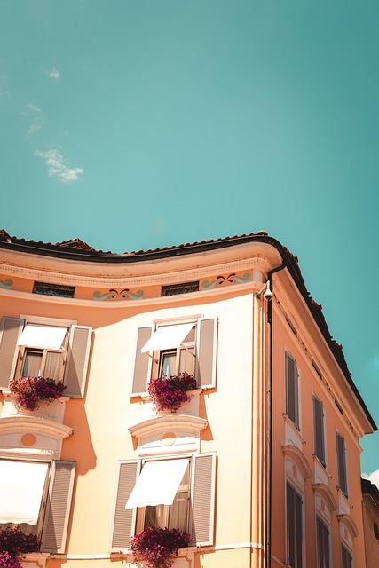 Free Building Windows photo and picture