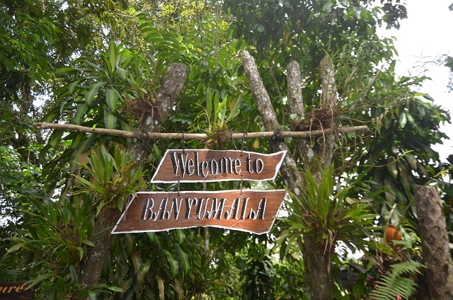 Free Bali Nature photo and picture
