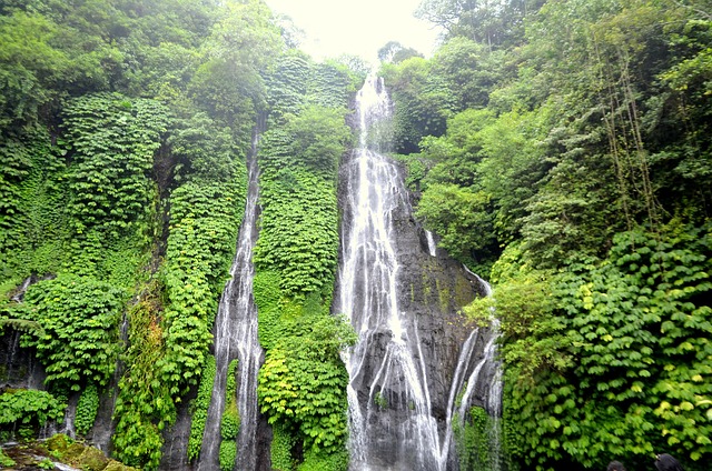 Free Bali Waterfall photo and picture