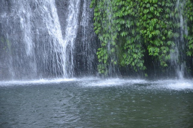 Free Bali Waterfall photo and picture