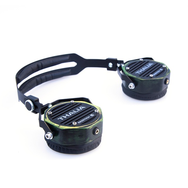 Free Headphones Music photo and picture